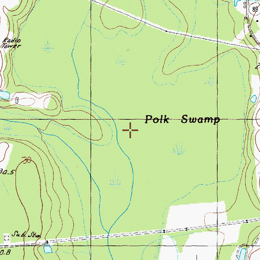 Topographic Map of Polk Swamp, SC