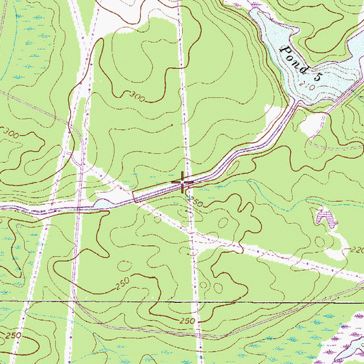 Topographic Map of Pond Five, SC