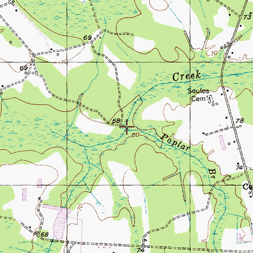Topographic Map of Poplar Branch, SC