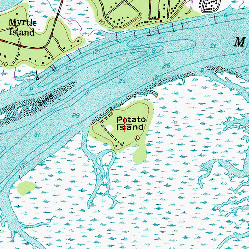 Topographic Map of Potato Island, SC