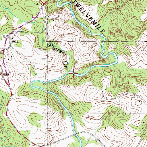 Topographic Map of Praters Creek, SC