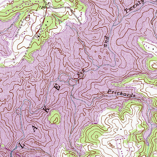 Topographic Map of Prichards Branch, SC