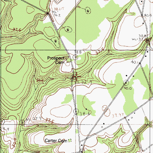 Topographic Map of Prospect Church, SC