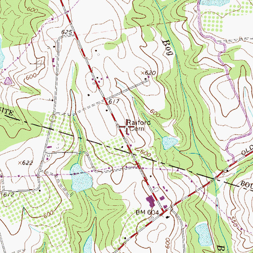 Topographic Map of Raiford Cemetery, SC