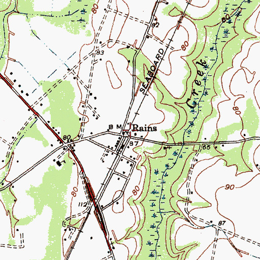Topographic Map of Rains, SC