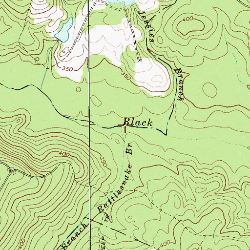 Topographic Map of Rattlesnake Branch, SC
