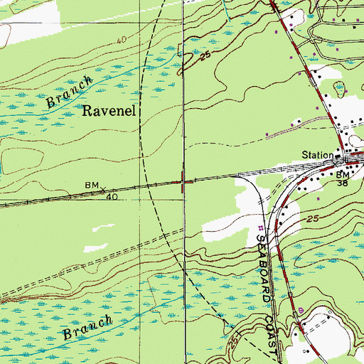 Topographic Map of Ravenel, SC