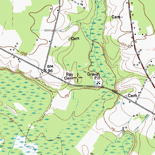 Topographic Map of Ray Cemetery, SC