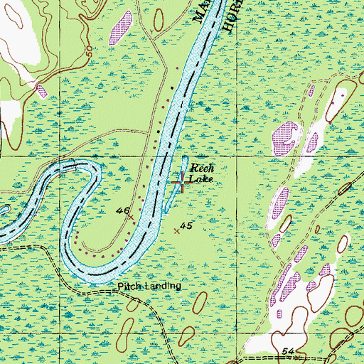 Topographic Map of Rech Lake, SC