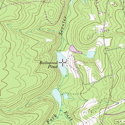 Topographic Map of Redmond Pond, SC