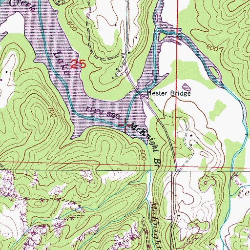 Topographic Map of McKnight Branch, AL