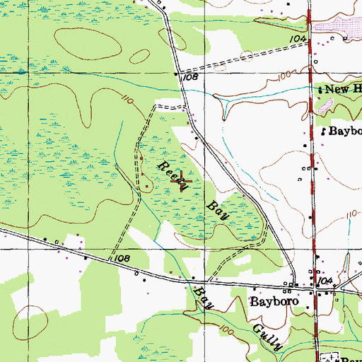 Topographic Map of Reedy Bay, SC