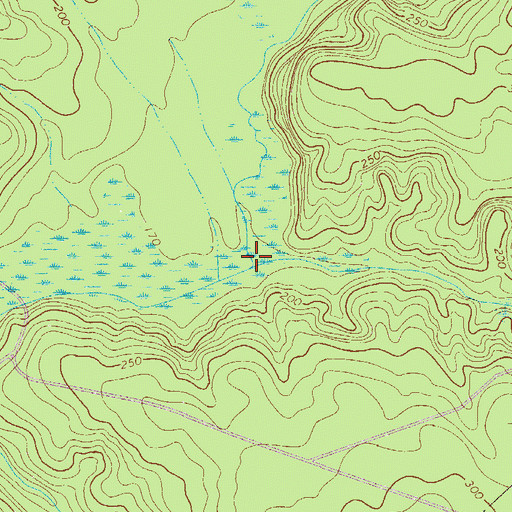 Topographic Map of Reedy Branch, SC
