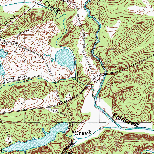 Topographic Map of Reedy Creek, SC