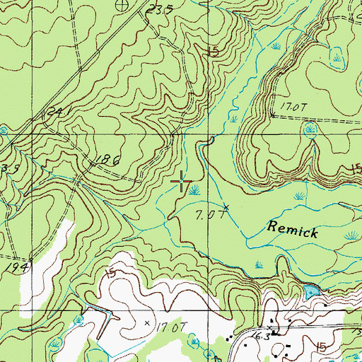 Topographic Map of Remick Swamp, SC