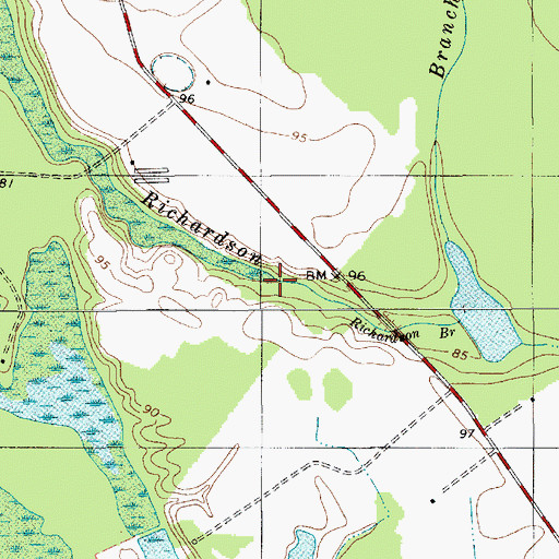 Topographic Map of Richardson Branch, SC