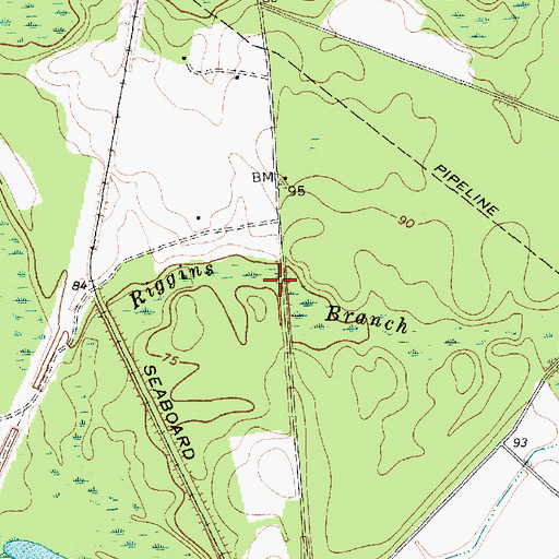 Topographic Map of Riggins Branch, SC