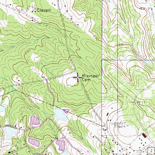 Topographic Map of Risinger Cemetery, SC