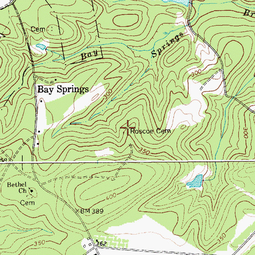 Topographic Map of Roscoe Cemetery, SC