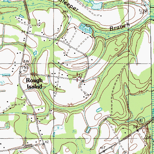 Topographic Map of Rough Island, SC