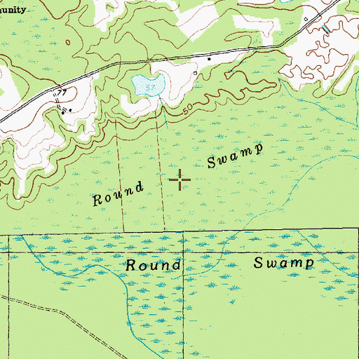 Topographic Map of Round Swamp, SC