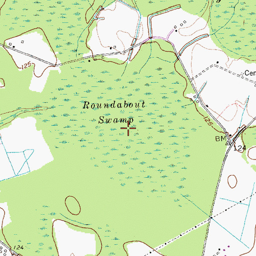 Topographic Map of Roundabout Swamp, SC