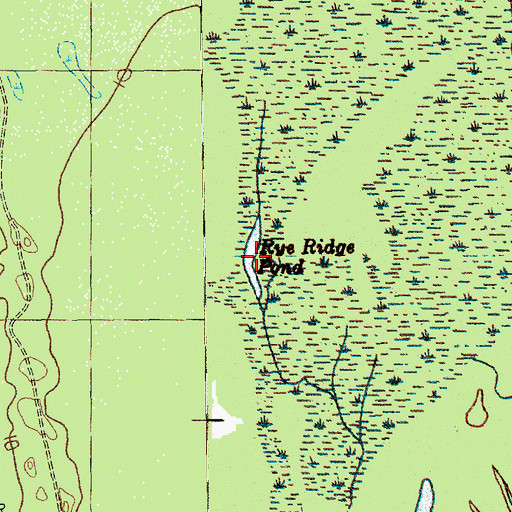Topographic Map of Rye Ridge Pond, SC