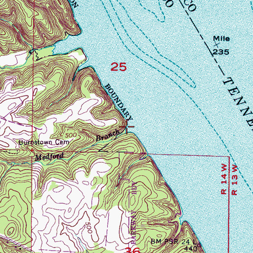 Topographic Map of Medford Branch, AL