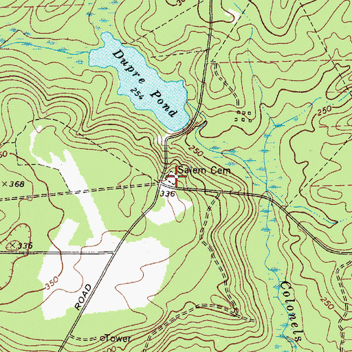 Topographic Map of Salem Cemetery, SC