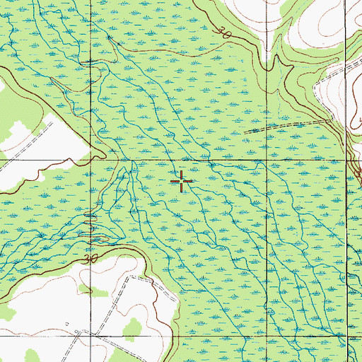 Topographic Map of Sammy Swamp, SC