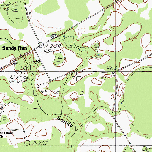 Topographic Map of Sandy Run, SC