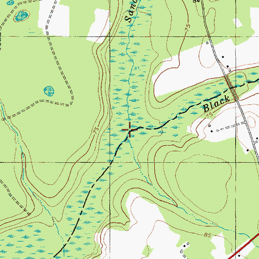 Topographic Map of Sandy Run, SC