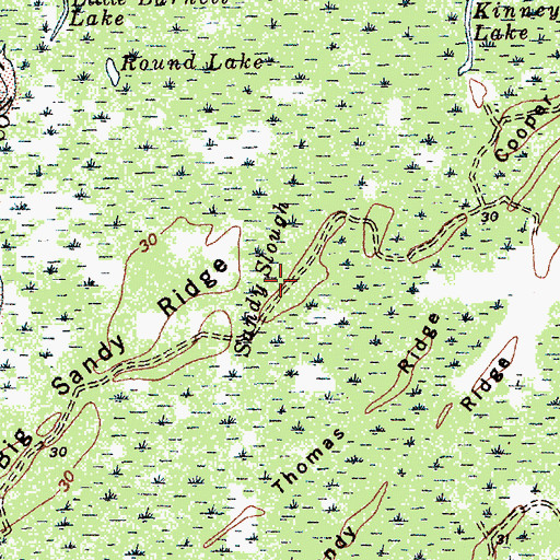 Topographic Map of Sandy Slough, SC