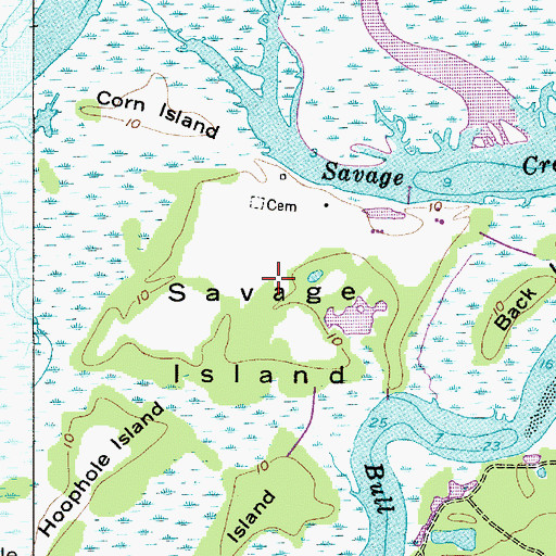 Topographic Map of Savage Island, SC