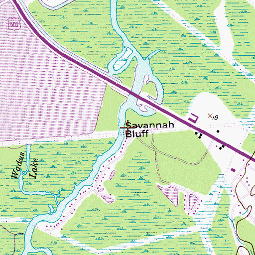 Topographic Map of Savannah Bluff, SC