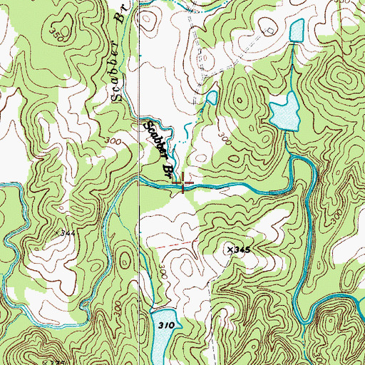 Topographic Map of Scabbler Branch, SC