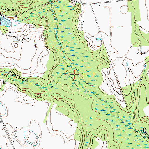 Topographic Map of Screeches Branch, SC