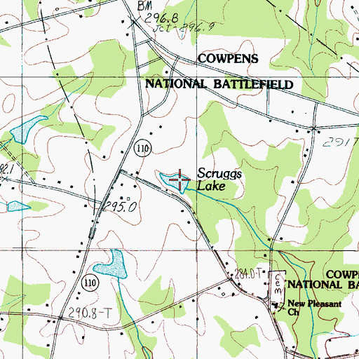 Topographic Map of Scruggs Lake, SC