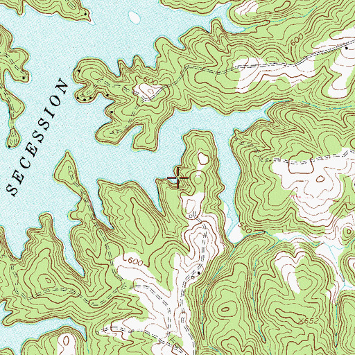 Topographic Map of Secession Lake, SC
