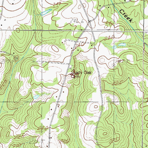 Topographic Map of Shady Oak Church, SC