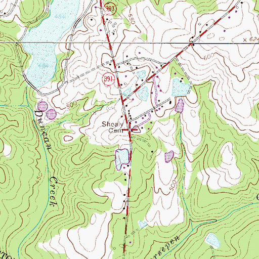Topographic Map of Shealy Cemetery, SC