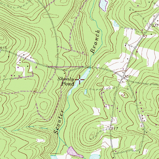 Topographic Map of Shealy Pond, SC