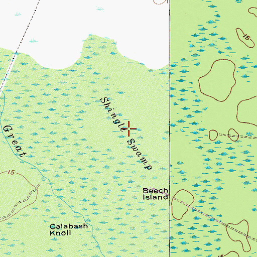 Topographic Map of Shingle Swamp, SC