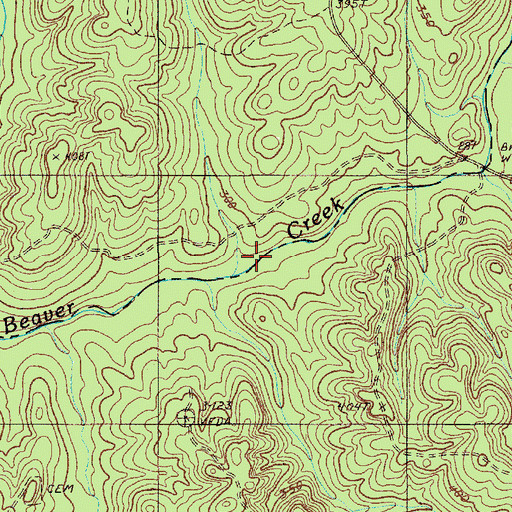 Topographic Map of Showerbath Branch, SC