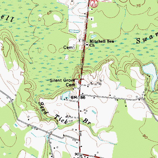 Topographic Map of Silent Grove Cemetery, SC