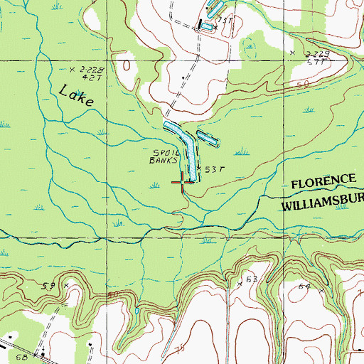 Topographic Map of Singleton Swamp, SC