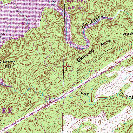 Topographic Map of Skinned Pine Ridge, SC