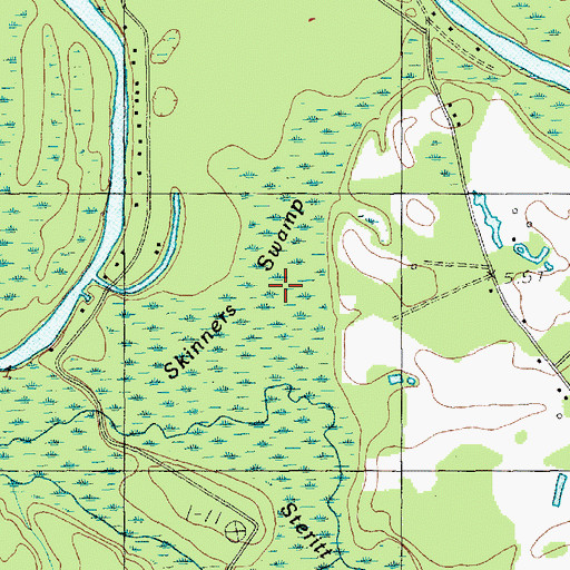 Topographic Map of Skinners Swamp, SC