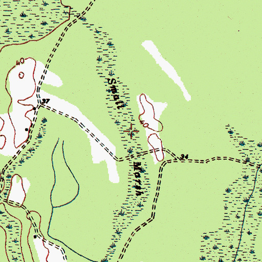 Topographic Map of Small Marsh, SC
