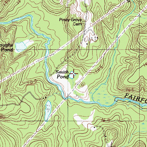 Topographic Map of Smith Pond, SC